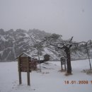 거북이동산 이미지