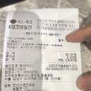 스마트 정형외과 신경외과 동물병원 | 강아지 슬개골 수술후 2개월 후기: 깽깽이발 안녕! 두달 후 검진 결과와 변화