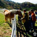 풍전목장 이미지