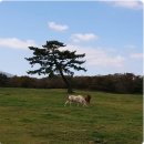 한들어린이집 이미지