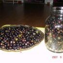 상혁농장 이미지