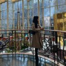 광주올카 | 광주신세계 디올 여자 가방 추천 카로 미디엄 블랙 서플 까나쥬 송아지 가죽