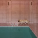 이:은동물병원 이미지