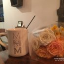 솜마-가 이미지