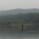 새벽이슬 이미지