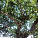 월영동200 이미지