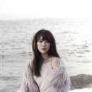 데이터컴백 Daum카페