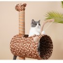 이층집고양이 이미지