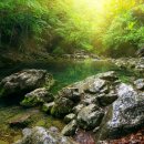 뉴스타트병원 이미지