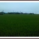 해성초등학교 이미지