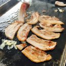 동강포도원펜션 이미지