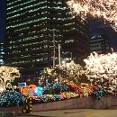 삼보약국 이미지