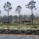 지리산 순심이네 캠핑 민박 이미지