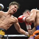 모던복싱 이미지