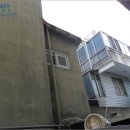 신도리-3 이미지