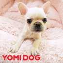 먹골사랑약국 이미지