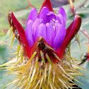 행운크리닝 이미지