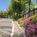 산내들공인중개사사무소 이미지