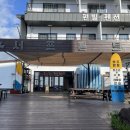 애월볕 | 애월서핑 입문 후기: 제주 곽지해수욕장 앞 ‘서프론트’에서 첫 도전!