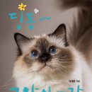 『딩동~ 고양이 도감』 지성사 신간 도서 ^^ 이미지