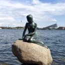 준골프클럽 이미지