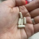 주식회사 에이트케어 | 체지방량 여자 정상 수치 만들기 후기! 3주간의 리얼 변화 기록