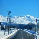 동화숲민박 | 일본 겨울 여행 필수 코스 비에이 후라노 투어 추천 홋카이도 삿포로 근교 일일버스투어