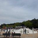 풍덕장미터널 옆 화장실 | 양산에서 30분,아이랑 가기 좋은 울산대공원 튤립 나들이 후기