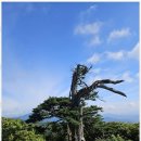 백옥당 - 북구 서림로 154 | 백옥당