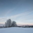 그루터기 이미지