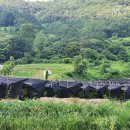 청림동로 | 충남 금산 가볼만한곳 전국유명사찰 대둔산 태고사 절경 감동적