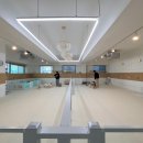 가치있개 이미지