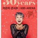 이은미 콘서트 이미지
