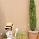 마시멜로키즈풀빌라 이미지