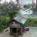 성산게스트하우스킴스캐빈 | [제주도게스트하우스] 성산쪽 게스트하우스 조용하고 한적한 &#39;킴스캐빈&#39;