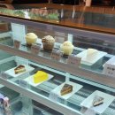 이놈애커피 | 🌿 강릉 한옥 카페 이놈애커피 – 정원 산책까지 가능한 힐링 카페