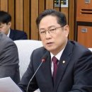 박수영 카카오 검색결과