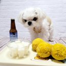 노리댕댕 이미지