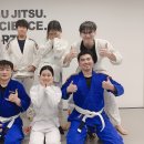 본주짓수동탄 Daum카페