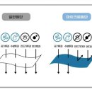 나플나플