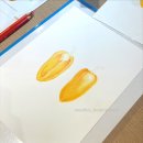 색연필로 그리는 꽃, 보태니컬 아트 | 색연필로 그리는 꽃과 열매, 보타니컬 아트 10월 셋째주 수업(CH 1985 압구정 본점)