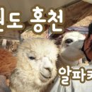 MH여행사