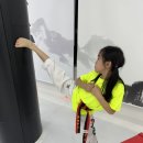 현 태권도장 이미지