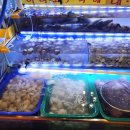 낭만조개 이미지