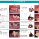 태안동물병원 이미지