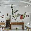 다인안경원 이미지