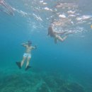 루 하우스 | 발리 길리섬 에어비앤비 추천 날루하우스 일주일 숙박 후기 정보