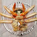 바다마차 이미지