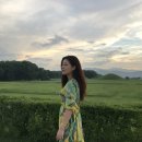 솜마-가 | 경주펜션 / 경주애견펜션 솜마리조트 후기