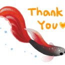 호텔가조 이미지